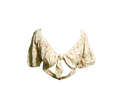 Zendaya's Floral Crop Top